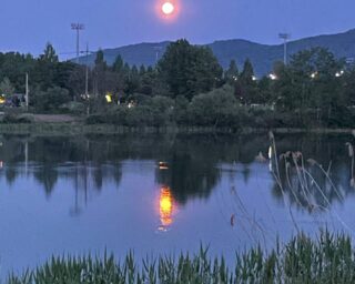 IMAGE 2025-05-18 17:16:47