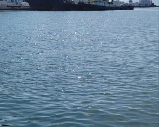 KakaoTalk_Photo_2025-11-13-20-11-35 006